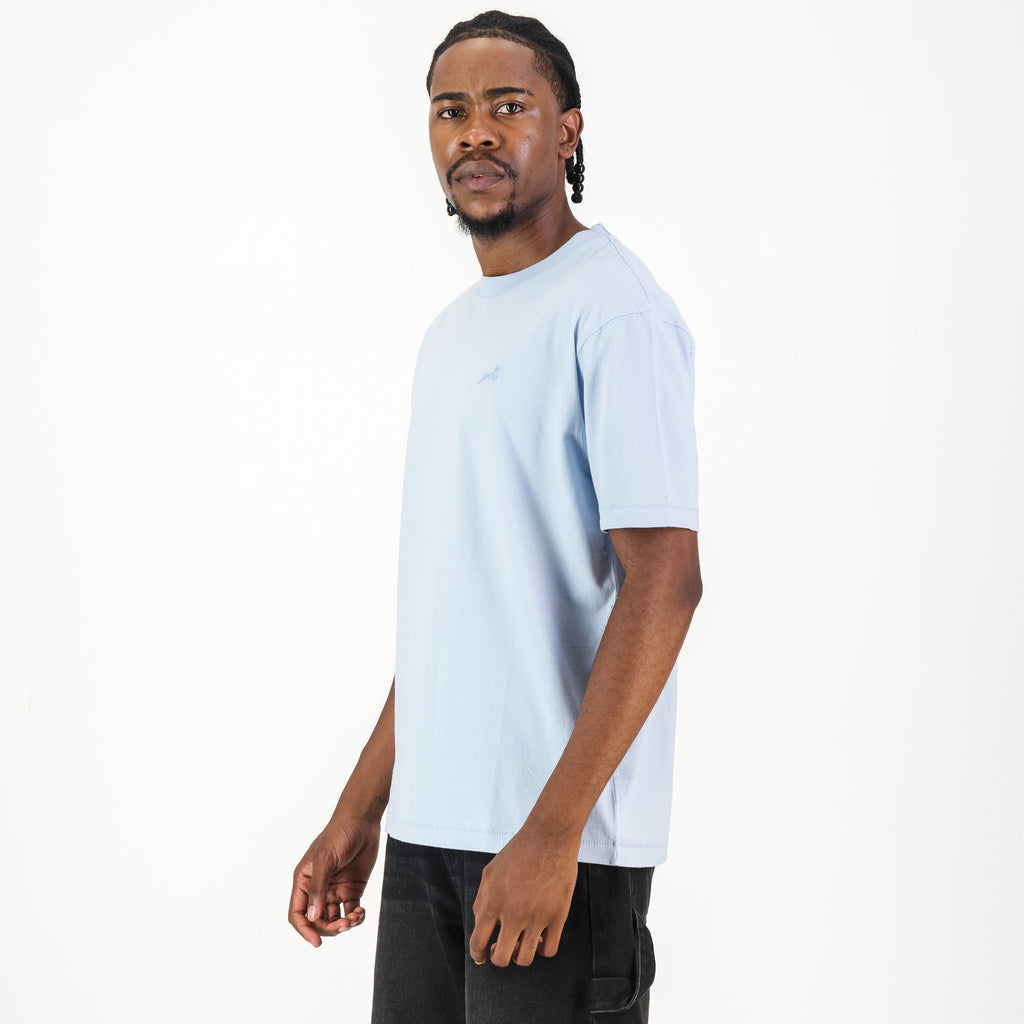 Springboks Tonal SML EMB Bok Crew Tee-Skyway